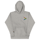(Big logo) Playfly Pride-Unisex Hoodie