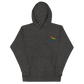 (Big logo) Playfly Pride-Unisex Hoodie