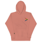 (Big logo) Playfly Pride-Unisex Hoodie