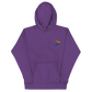 (Big logo) Playfly Pride-Unisex Hoodie