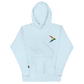 (Big logo) Playfly Pride-Unisex Hoodie